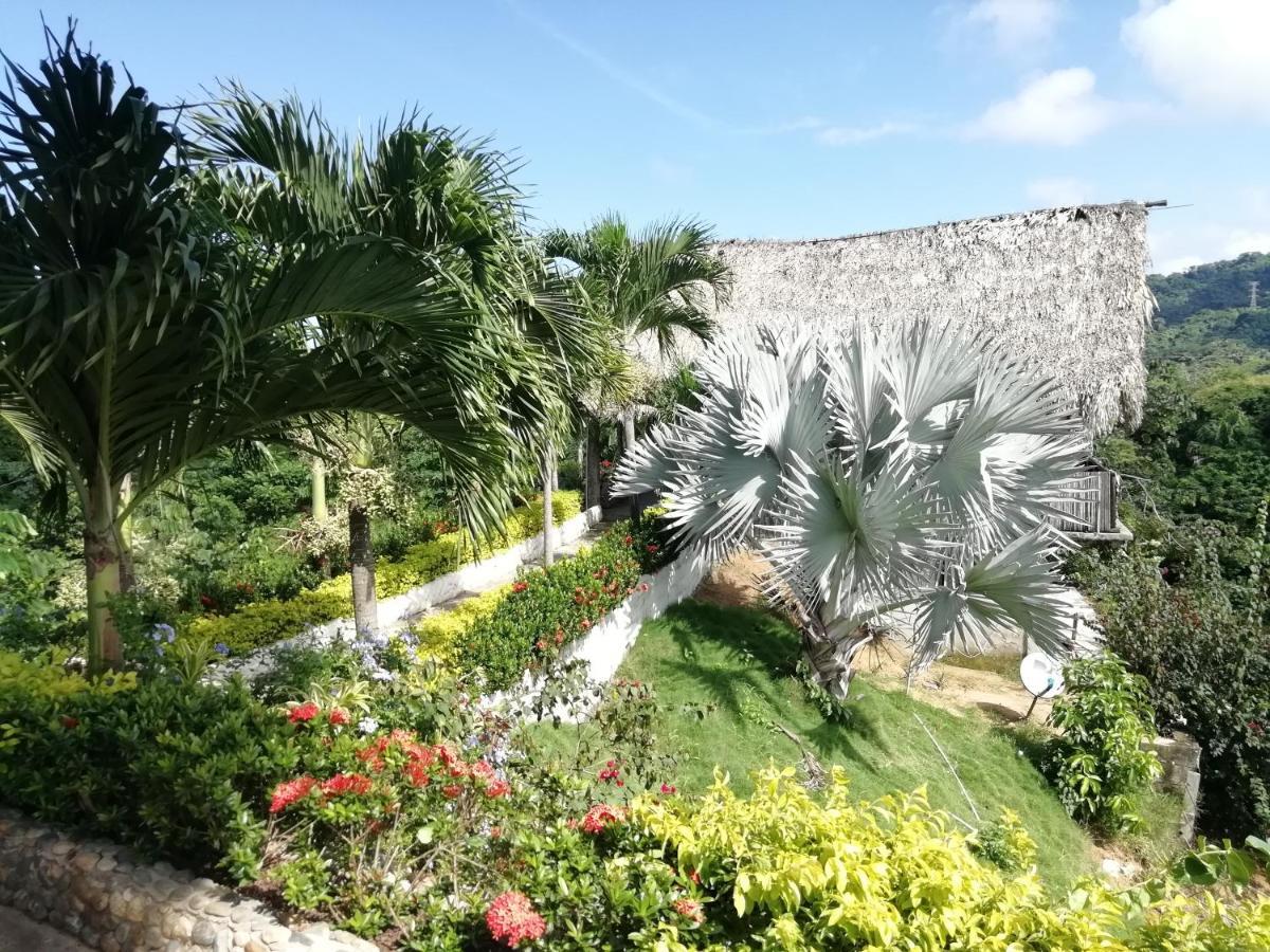 Moon Wind Tayrona Hostel エル・ザイノ エクステリア 写真