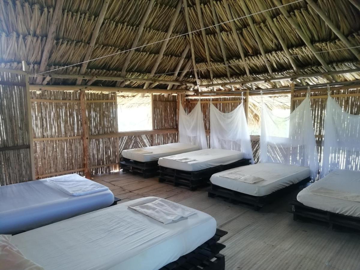 Moon Wind Tayrona Hostel エル・ザイノ エクステリア 写真