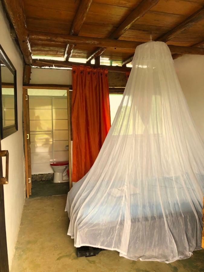 Moon Wind Tayrona Hostel エル・ザイノ エクステリア 写真