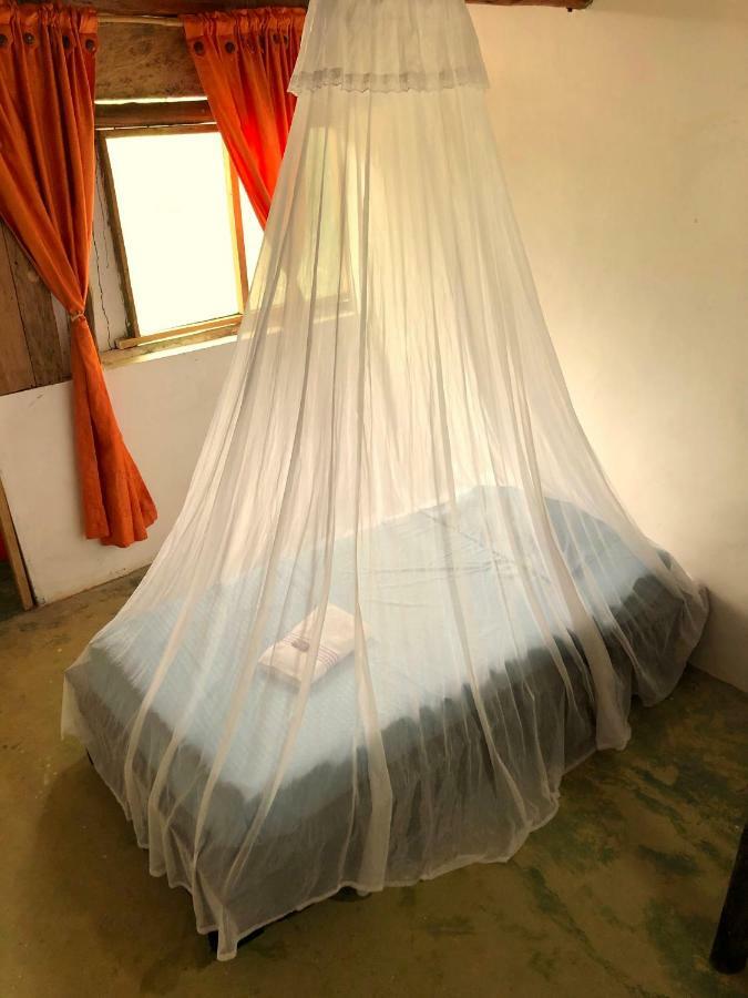 Moon Wind Tayrona Hostel エル・ザイノ エクステリア 写真